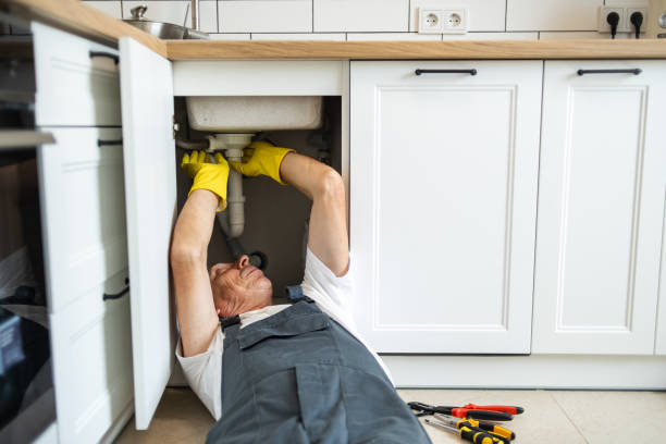 Best Emergency Plumber  in Cambridge, WI
